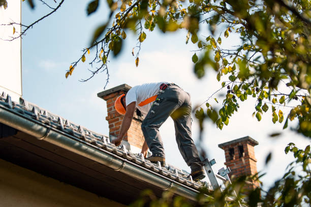 Professional Roofing Contractor in Springfield, CO